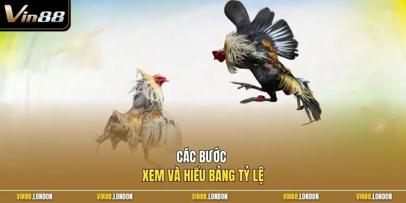 Các bước xem và hiểu bảng tỷ lệ