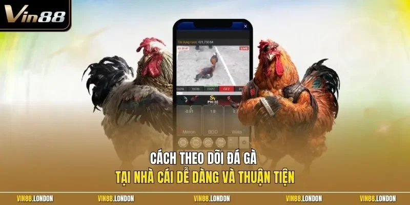 Cách theo dõi đá gà tại nhà cái dễ dàng và thuận tiện 