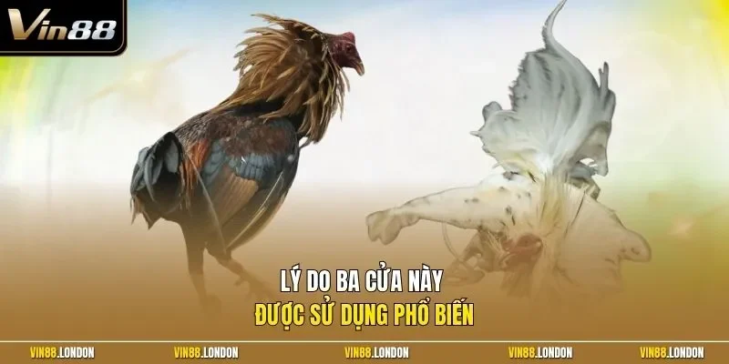 Lý do ba cửa này được sử dụng phổ biến 