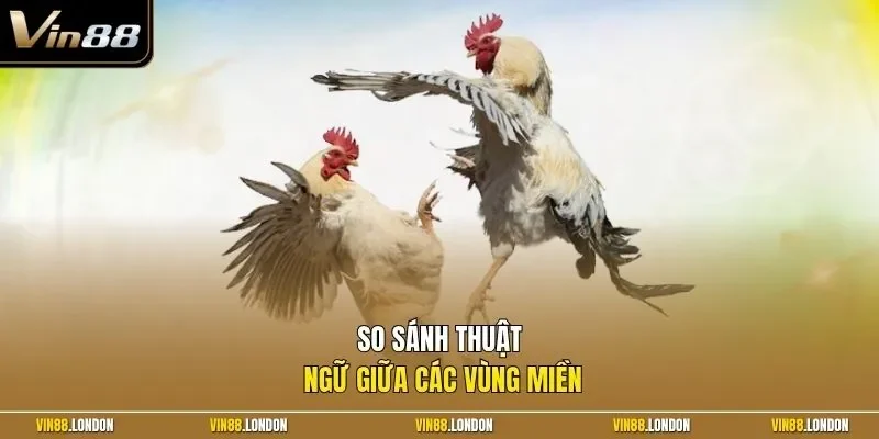 So sánh thuật ngữ giữa các vùng miền